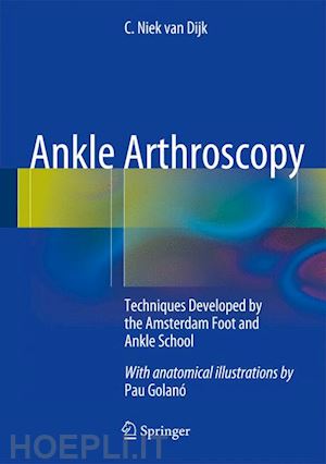 van dijk c. niek - ankle arthroscopy