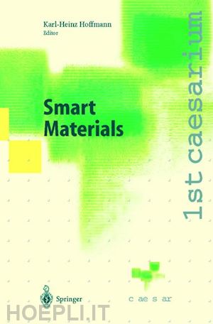 hoffmann karl-heinz (curatore) - smart materials