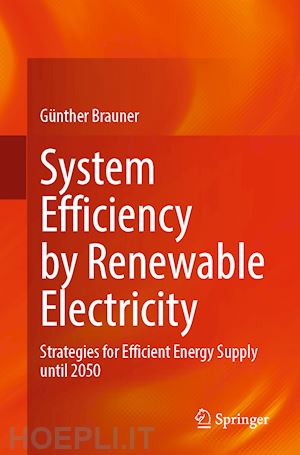 brauner günther - system efficiency by renewable electricity