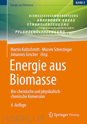 kaltschmitt martin (curatore); scherzinger marvin (curatore); gescher johannes (curatore) - energie aus biomasse