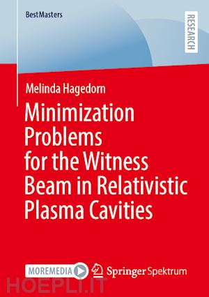 hagedorn melinda - minimization problems for the witness beam in relativistic plasma cavities