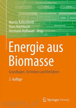 kaltschmitt martin (curatore); hartmann hans (curatore); hofbauer hermann (curatore) - energie aus biomasse