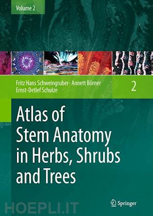 schweingruber fritz hans; börner annett; schulze ernst-detlef - atlas of stem anatomy in herbs, shrubs and trees