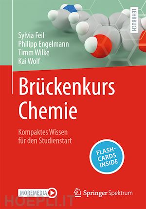 feil sylvia; engelmann philipp; wilke timm; wolf kai - brückenkurs chemie