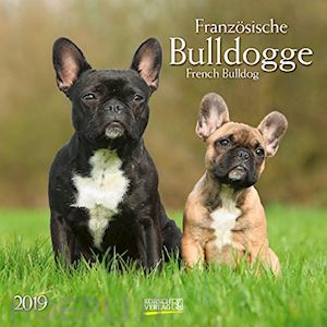 aa.vv. - bulldog francesi - calendario 2019