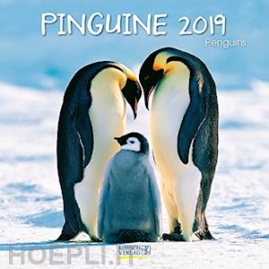 aa.vv. - pinguini - calendario 2019