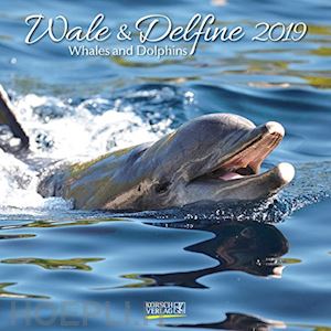 aa.vv. - balene e delfini - calendario 2019