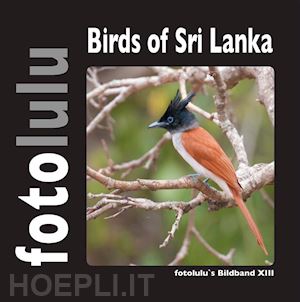 fotolulu fotolulu - birds of sri lanka