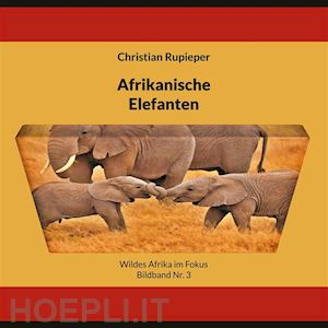 christian rupieper - afrikanische elefanten