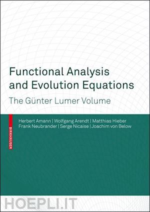 amann herbert (curatore); arendt wolfgang (curatore); neubrander frank (curatore); nicaise serge (curatore); below joachim (curatore) - functional analysis and evolution equations