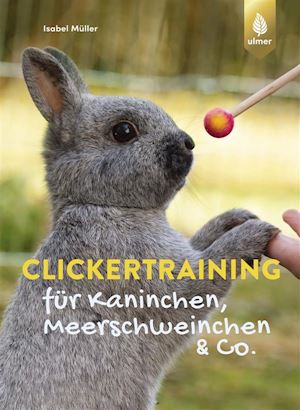 isabel müller - clickertraining für kaninchen, meerschweinchen & co.