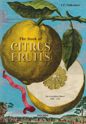 lauterbach iris - the book of citrus fruits . johann christoph volkamer