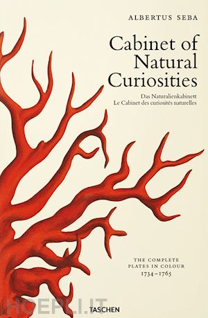 musch irmgard; rust jes; willmann rainer - albertus seba. cabinet of natural curiosities. ediz. inglese, francese e tedesca