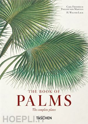 lack h. walter; martius carl friedrich philipp - the book of palms  - 40th anniversary edition