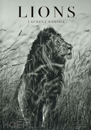 baheux laurent - lions. ediz. francese, inglese e tedesca