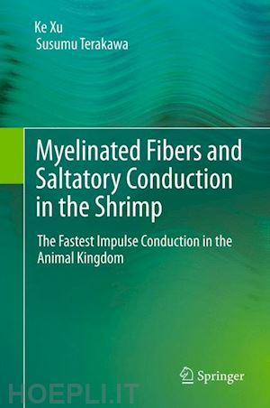 xu ke; terakawa susumu - myelinated fibers and saltatory conduction in the shrimp