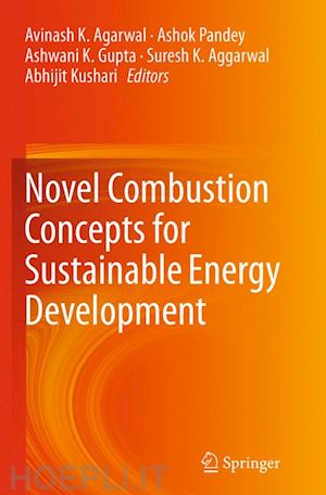 agarwal avinash k (curatore); pandey ashok (curatore); gupta ashwani k. (curatore); aggarwal suresh k. (curatore); kushari abhijit (curatore) - novel combustion concepts for sustainable energy development