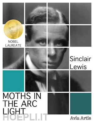 sinclair lewis - moths in the arc light