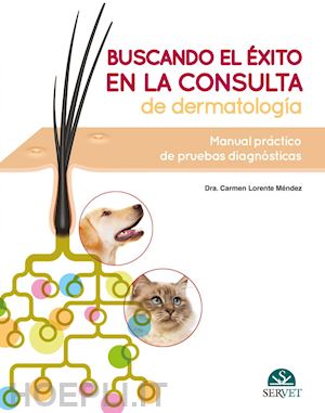 lorente méndez  carmen - buscando el éxito en la consulta de dermatología: manual práctico de pruebas diagnósticas