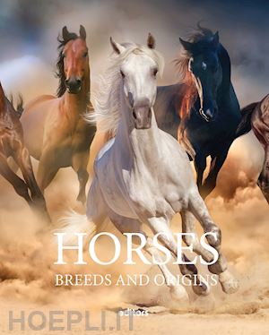 bocharan salvador - horses. breeds and origins