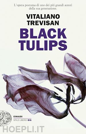 trevisan vitaliano - black tulips