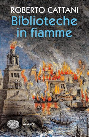 cattani roberto - biblioteche in fiamme