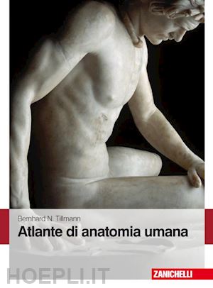 Anatomia umana: : Frederic H. Martini, Michael J. Timmons,  Robert B. Tallitsch: 9788879597302: Books