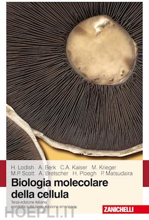 lodish h. berk a.  kaiser c.a. - biologia molecolare della cellula