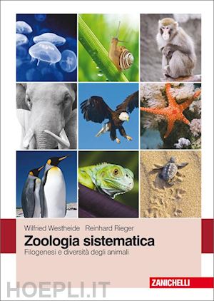 westheide wilfried; rieger reinhard - zoologia sistematica. filogenesi e diversita' degli animali