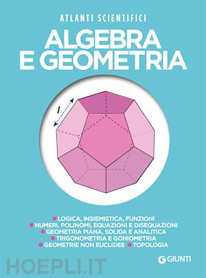 bubboloni daniela; renzoni nazario - algebra e geometria