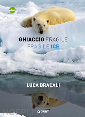 bracali luca - ghiaccio fragile / fragile ice