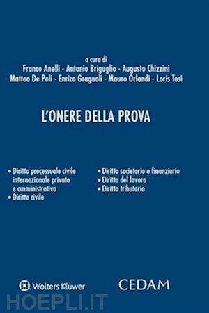 anelli f. (curatore); briguglio a. (curatore); chizzini a. (curatore); de poli m. (curatore); gr - l'onere della prova