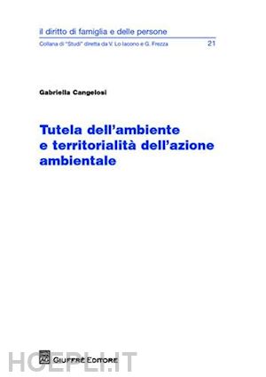 cangelosi gabriella - tutela dell'ambiente e territorialita' dell'azione ambientale