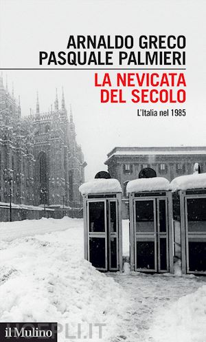 greco arnaldo; palmieri pasquale - la nevicata del secolo. l'italia nel 1985