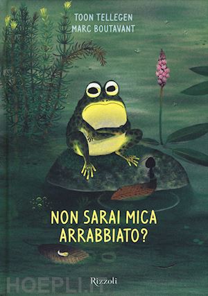 tellegen toon; boutavant marc - non sarai mica arrabbiato? ediz. illustrata