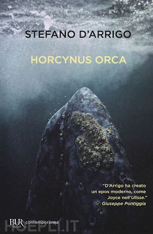 d'arrigo stefano - horcynus orca