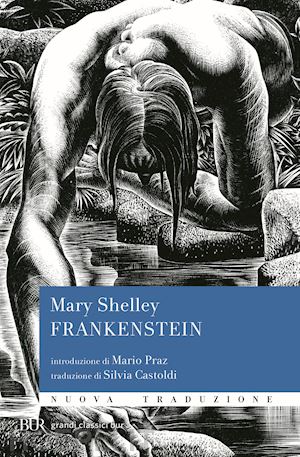 shelley mary - frankenstein