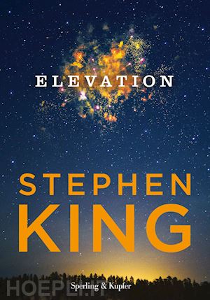king stephen - elevation
