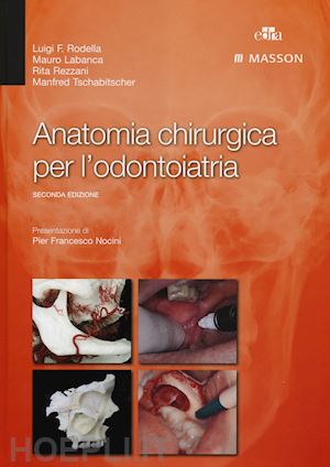 harvey - anatomia chirurgica per l'odontoiatria