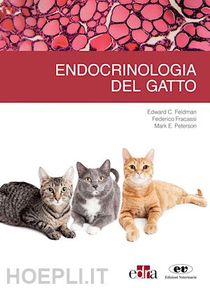 peterson mark e.; feldman edward c.; fracassi federico - endocrinologia del gatto
