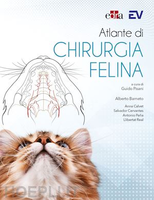 pisani guido; barneto alberto; calvet a., cervantes s., pena a., real l. (curatore) - atlante di chirurgia felina