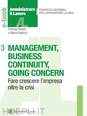 pierluigi rauseimarco barbizzi - management, business continuity, going concern