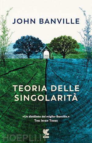 banville john - teoria delle singolarita'