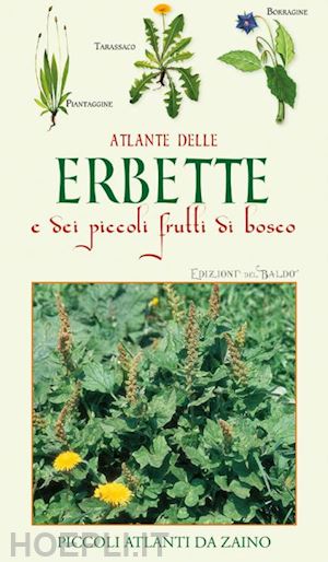 mancini paola - atlante delle erbette e dei piccoli frutti di bosco