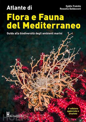 trainito egidio; baldacconi rossella - atlante di flora e fauna del mediterraneo. guida alla biodiversita' degli ambien