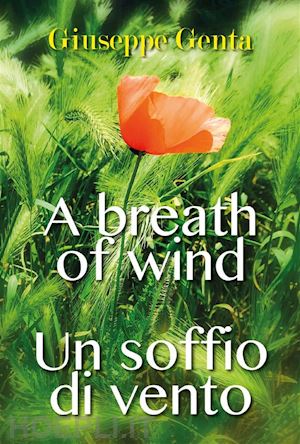 giuseppe genta - un soffio di vento - a breath of wind