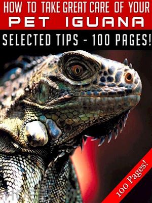 jeannine hill - how to take great care of your pet iguana