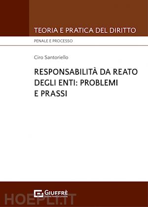 santoriello ciro - responsabilita' da reato degli enti: problemi e prassi