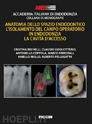 accademia italiana di endodonzia - anatomia dello spazio endodontico. l'isolamento del campo operatorio in endodonz