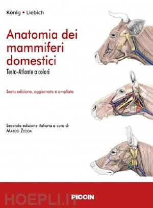 konig horst e.; liebich hans-georg; zedda m. (curatore) - anatomia dei mammiferi domestici